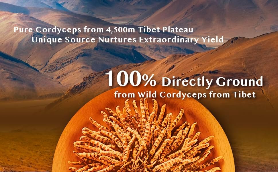 Wild Tibetan Cordyceps Capsules