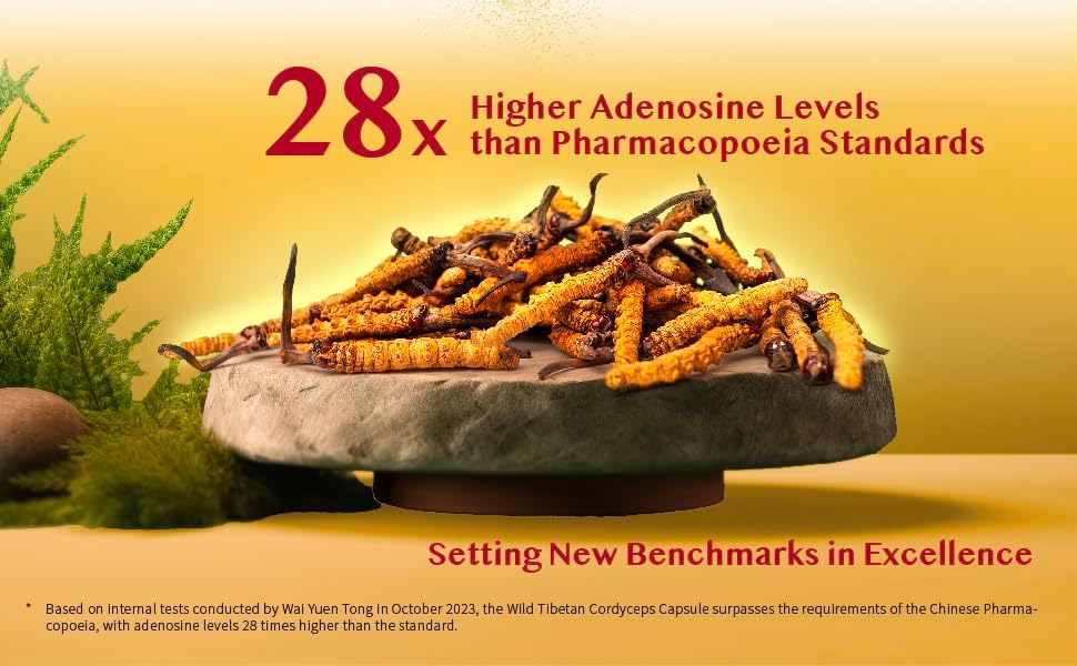 Wild Tibetan Cordyceps Capsules