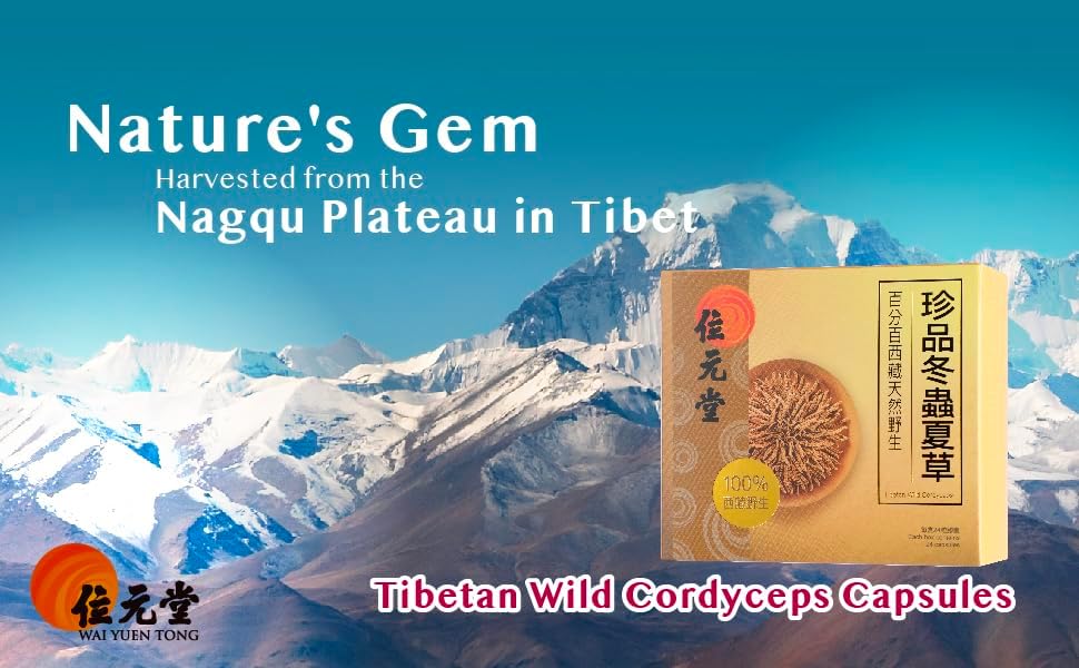 Wild Tibetan Cordyceps Capsules